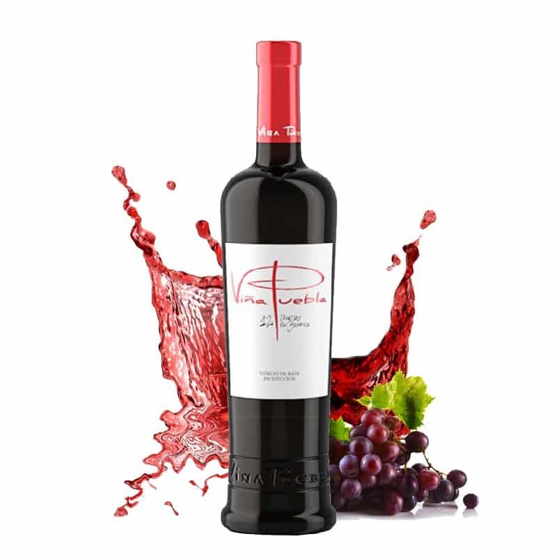 Viña Puebla en 