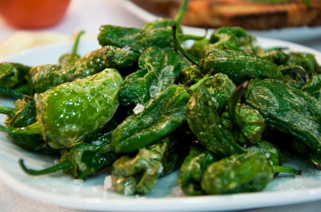 Pimientos de Padrón en 