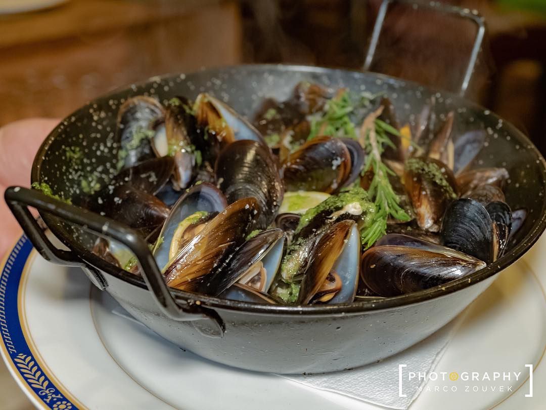 MEJILLONES AL VAPOR CON VIRUTA DE LIMA Y ROMERO en 