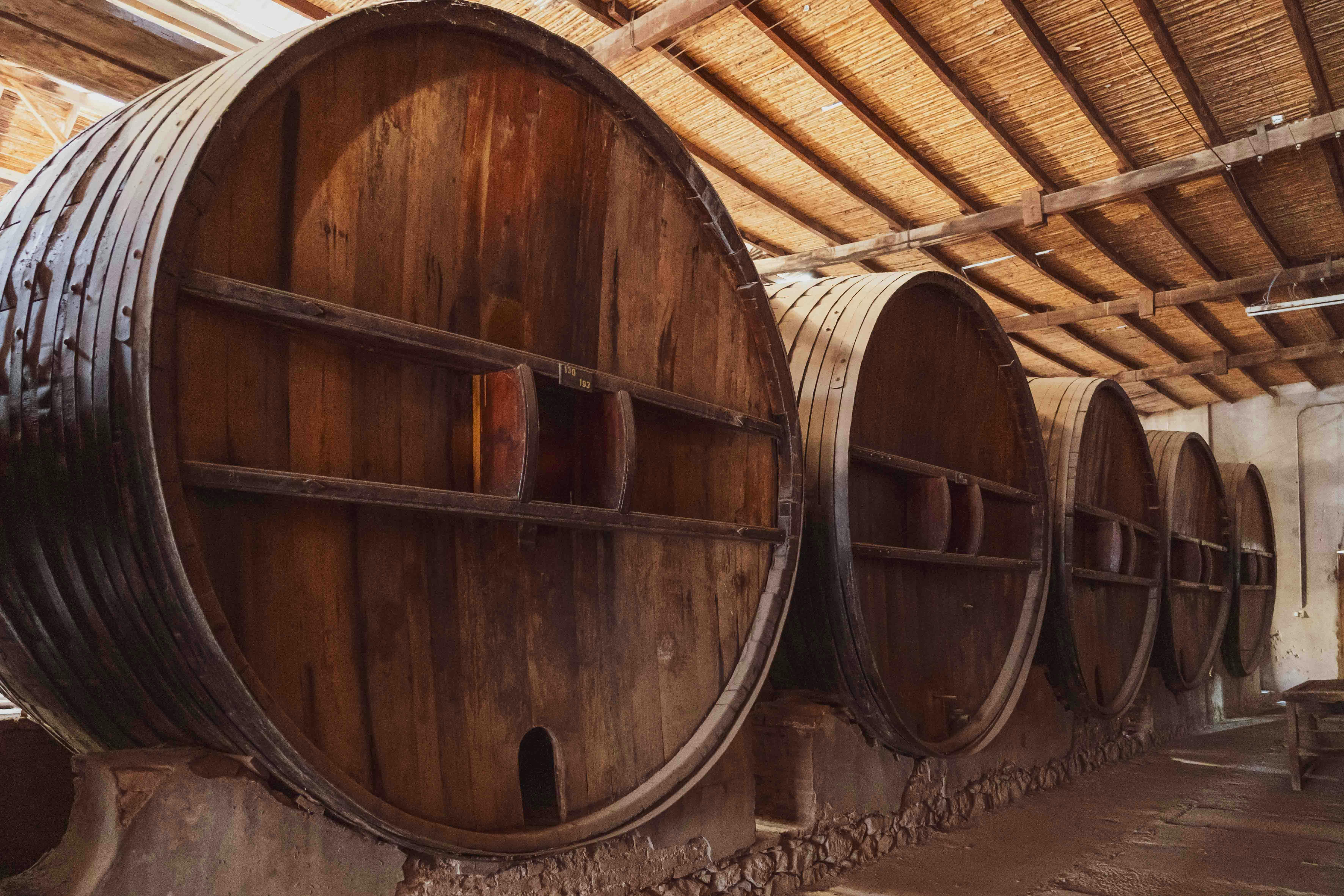 bodega en 